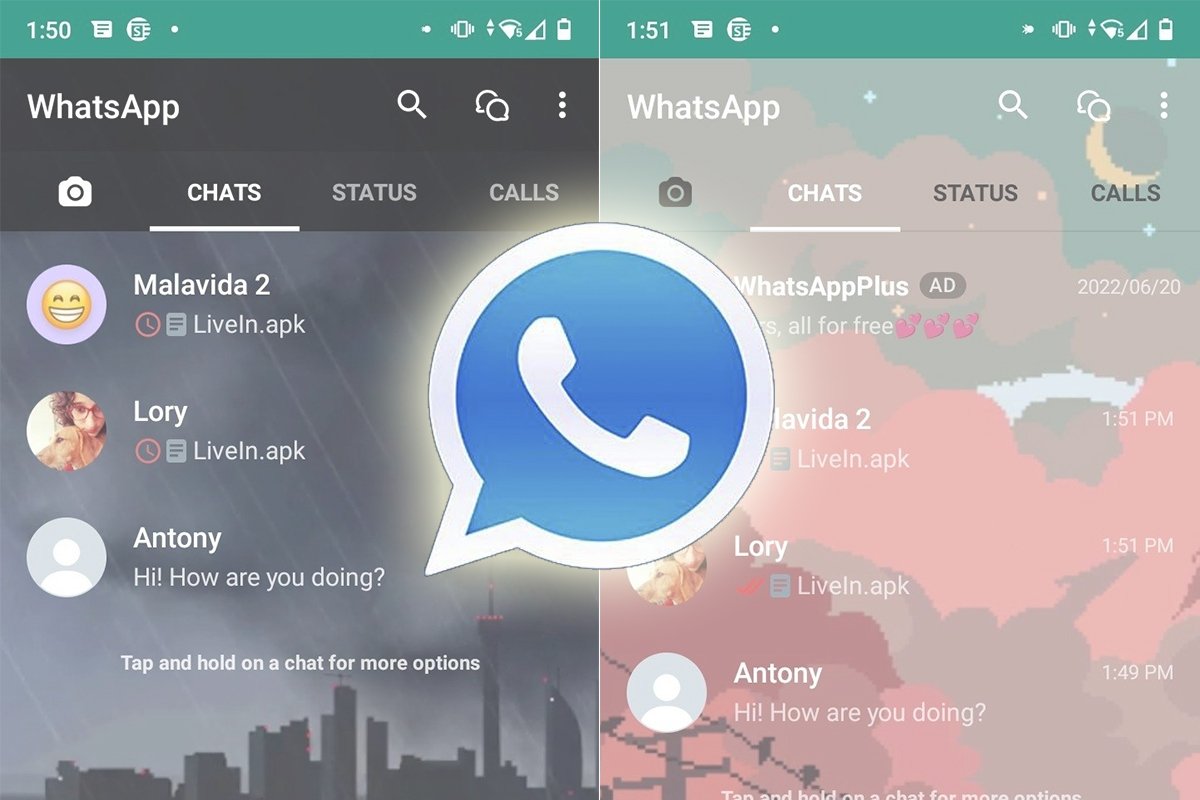 How to add friends on WhatsApp